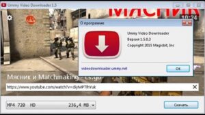 Ummy Video Downloader Crack 