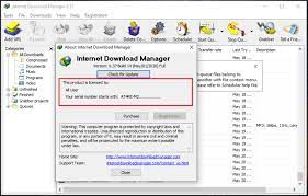 IDM Crack 6.41 Build 2 Patch + Serial Key Free Download 